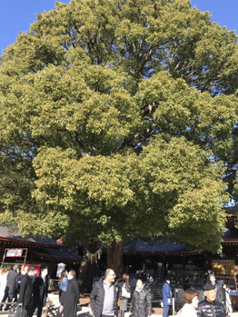 癒されました_20200107_1