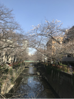目黒川◎_20200321_1