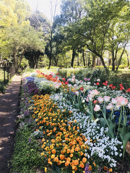 i045878727_349-262-1 気分もUP!UP!_20200416_2