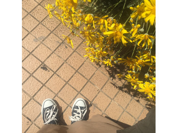 お散歩_20200514_1