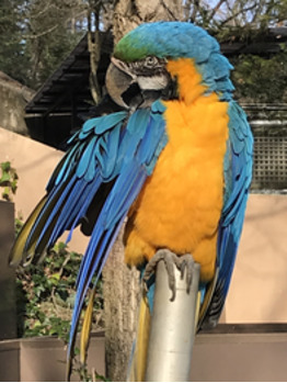 多摩動物公園_20200314_2