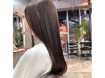 i049404640_349-262-1 サラツヤ イルミナカラー_20200812_1