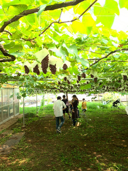 夏休み☆_20200821_1