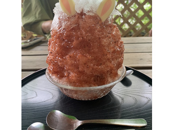 ナツ！_20200710_1