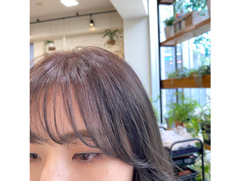 i050678054_349-262-3 グレージュ シースルーバング_20200919_1