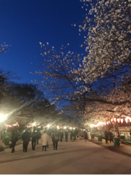 i045118025_349-262 寒い寒い夜桜はとっても綺麗でした!_20200325_1