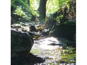 マイナスイオンのある所に出かけたい♪_20200514_1