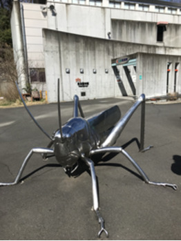 多摩動物公園_20200314_1