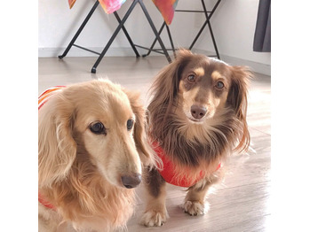 i045764417_349-262 ぼくの癒し、、_20200413_1