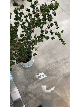 GWのカワイイ植物！_20200501_1