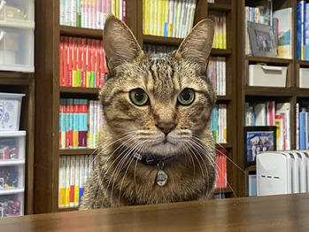 新年明けましておめでとうございます！！_20210107_1