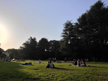 i058455787_349-262 フルーツサンド◎_20210420_3