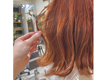 春カラー オレンジベージュ_20200404_1