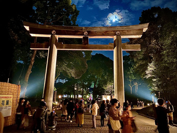 明治神宮鎮座百年大祭_20201107_1