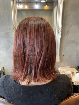 アプリコットオレンジ_20210302_2