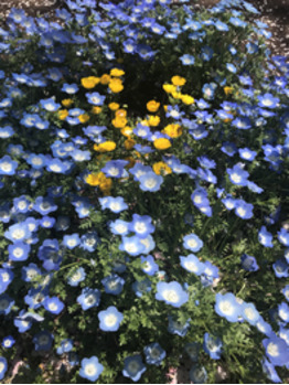 i045878589_349-262 気分もUP!UP!_20200416_1