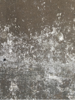 i045983980_349-262 壁とか床とかデザインとか_20200420_1