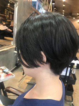 i051008191_349-262-1 秋カラー_20200929_1