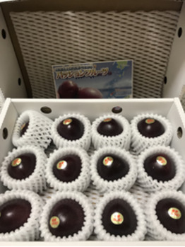 パッションフルーツ_20200731_1