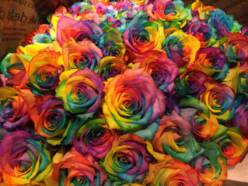 i045733719_349-262 ★4月11日 OPEN6周年★ 久しぶりの投稿_20200412_3