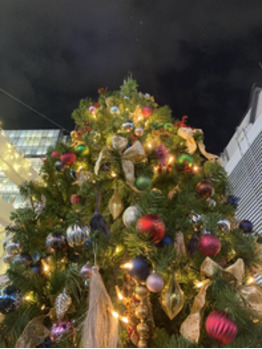 merry Xmas_20211224_1