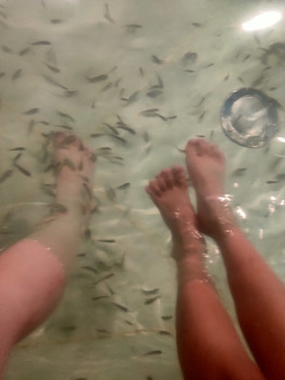 箱根ユネッサン_20211125_2