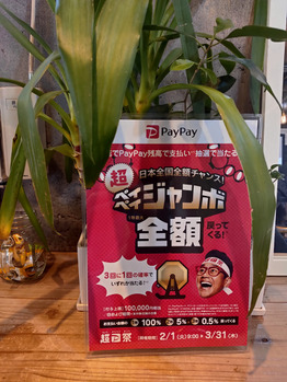 i069549184_349-262 ペイペイジャンボ キャンペーン_20220206_1