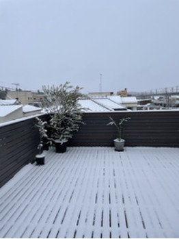 i068358764_349-262 ご挨拶^ ^_20220107_1