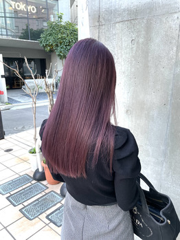 i069139844_349-262 カシスベージュ◎_20220127_1