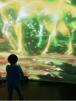 i067509687_349-262 図鑑ミュージアム^ ^_20211211_1