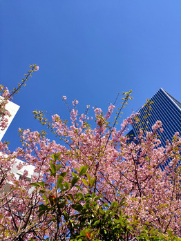 花粉症が辛い季節ですね…_20220316_1