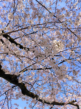 i071651447_349-262 新しいスタッフが増えました!_20220402_1