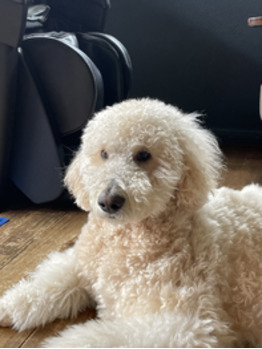 はじめまして！うららです！_20220512_1