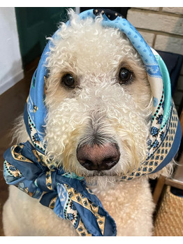 スカーフアレンジ？？？_20220930_1