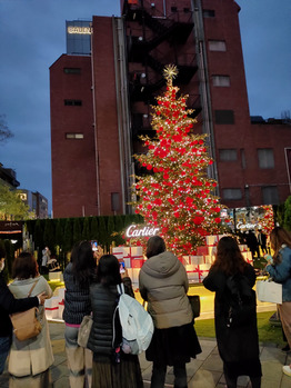 カルティエのクリスマスツリー_20211206_1