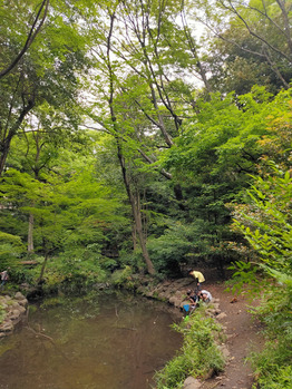 ザリガニ釣り_20220522_1