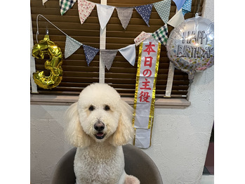 愛犬チャミちゃん♪_20221029_1