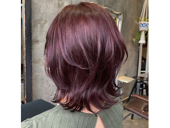 カシスカラー^ ^_20210131_1