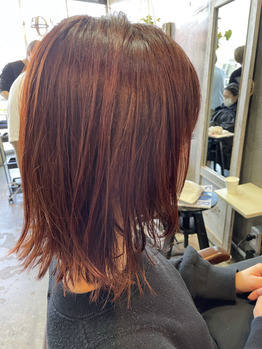 アプリコットオレンジ_20210302_1