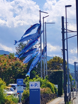 小田原かまぼこの里_20220506_1