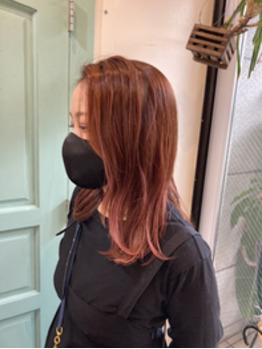 i079145203_349-262-1 orange color^ ^_20221019_1