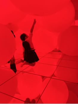 チームラボ　豊洲！_20221124_1