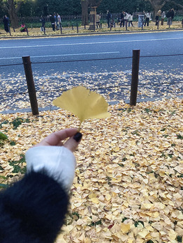 秋を感じてきました～_20221124_1