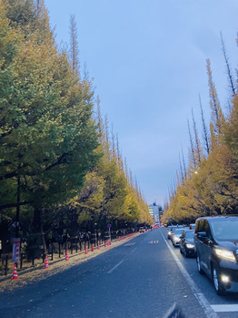 秋を感じてきました～_20221124_2