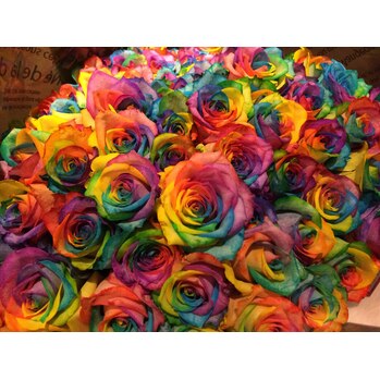 i045733719 ★4月11日 OPEN6周年★ 久しぶりの投稿_20200412_3