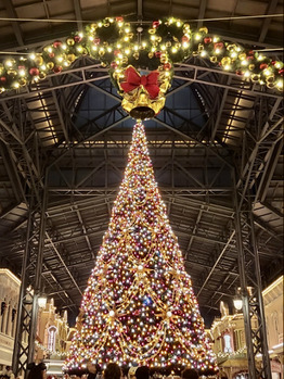 Disney land  ☆_20221201_1