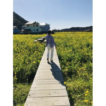 i043551861 ひと足早い春を見てきました~^^_20200206_2