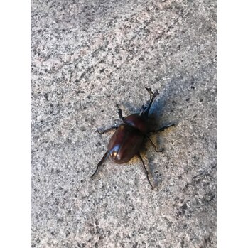 8月のお休み_20200810_1