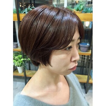 i051789740 【 チョコレートカラー 】_20201022_2