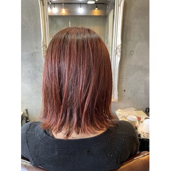 アプリコットオレンジ_20210302_2